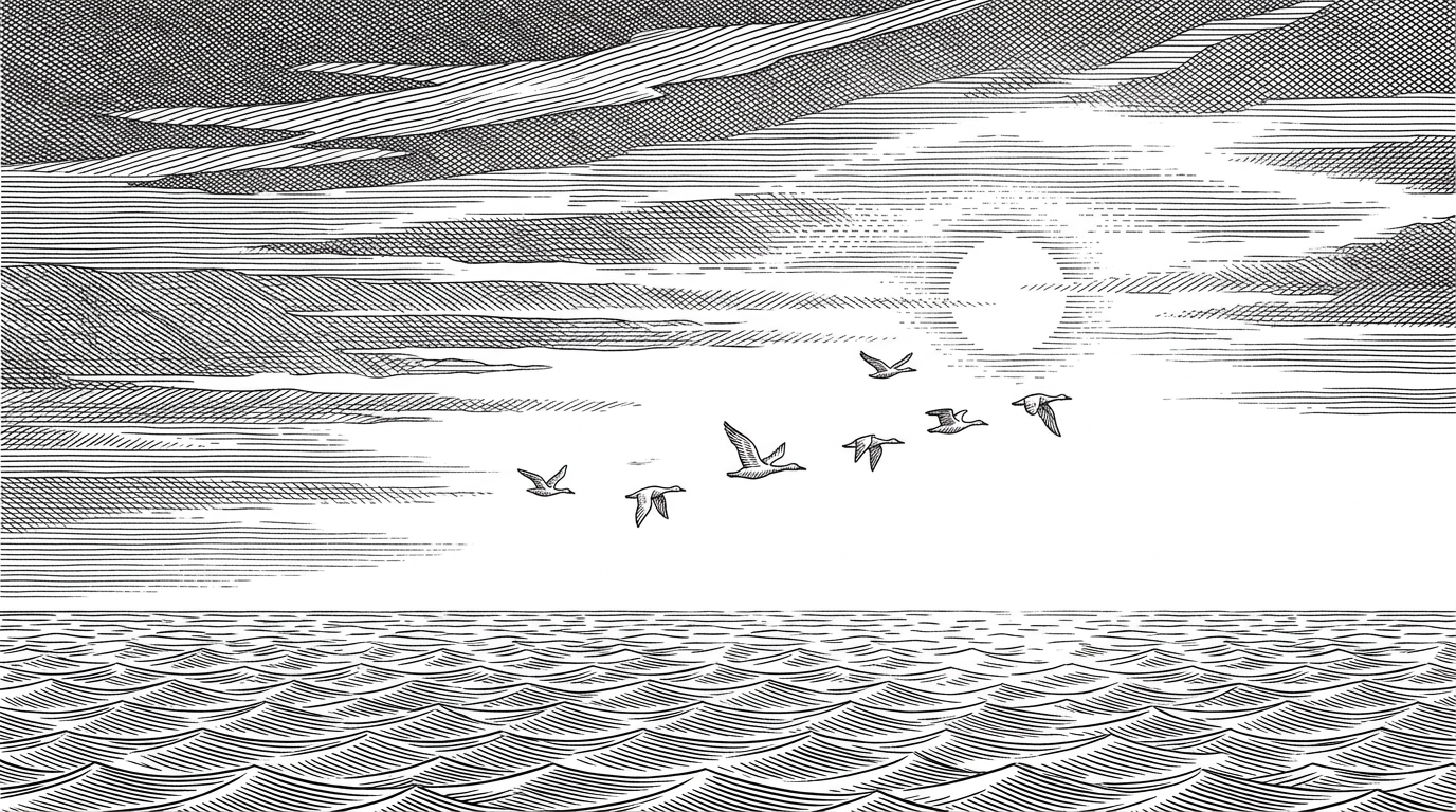 birds.cafe: The Browser Sim That Makes Weather Feel Alive